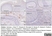 Anti Human CD115/CSF1R Antibody, clone FER216 thumbnail image 8