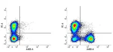 Hamster (Armenian) IgG Negative Control Antibody gallery image 1