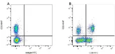 Mouse IgG1 Negative Control Antibody (Rat) gallery image 1