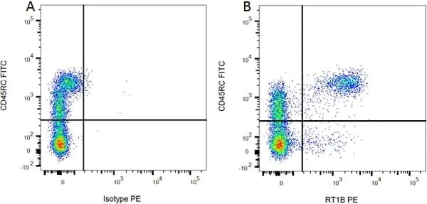 Mouse IgG1 Negative Control Antibody (Rat) gallery image 12
