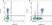 Mouse IgG1 Negative Control Antibody (Rat) thumbnail image 13