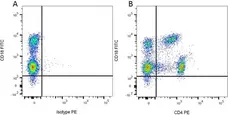 Mouse IgG1 Negative Control Antibody (Rat) gallery image 15