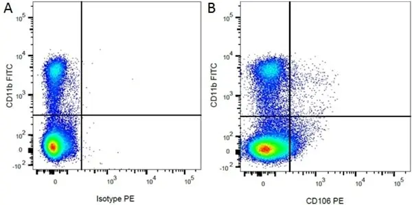 Mouse IgG1 Negative Control Antibody (Rat) gallery image 18
