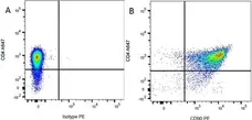 Mouse IgG1 Negative Control Antibody (Rat) gallery image 19