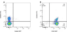 Mouse IgG1 Negative Control Antibody (Rat) gallery image 3