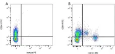 Mouse IgG1 Negative Control Antibody (Rat) gallery image 6