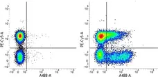 Mouse IgG1 Negative Control Antibody (Human) gallery image 1