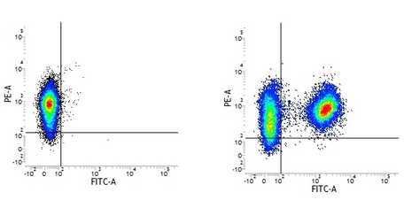 Mouse IgG1 Negative Control Antibody (Human) | Bio-Rad