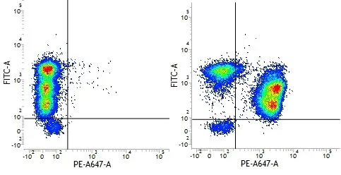 Mouse IgG1 Negative Control Antibody (Human) gallery image 13