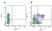 Mouse IgG1 Negative Control Antibody (Human) thumbnail image 16