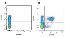 Mouse IgG1 Negative Control Antibody (Human) gallery image 17