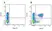 Mouse IgG1 Negative Control Antibody (Human) thumbnail image 17