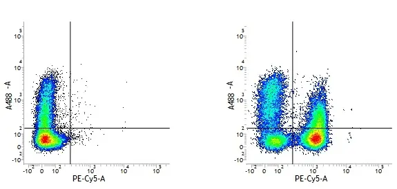 Mouse IgG1 Negative Control Antibody (Human) gallery image 2