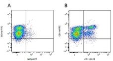 Mouse IgG1 Negative Control Antibody (Human) | Bio-Rad