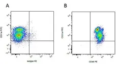 Mouse IgG1 Negative Control Antibody (Human) gallery image 24