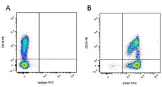 Mouse IgG1 Negative Control Antibody (Human) gallery image 29