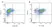 Mouse IgG1 Negative Control Antibody (Human) thumbnail image 37
