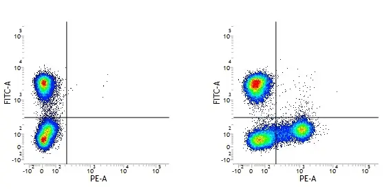 Mouse IgG1 Negative Control Antibody (Human) gallery image 4