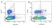Mouse IgG1 Negative Control Antibody (Human) thumbnail image 40