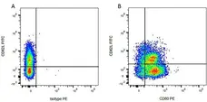 Mouse IgG1 Negative Control Antibody (Human) gallery image 46