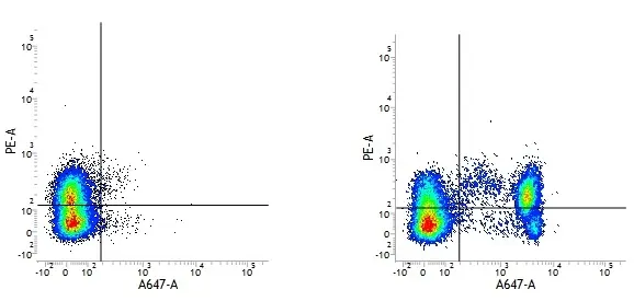 Mouse IgG1 Negative Control Antibody (Human) gallery image 6