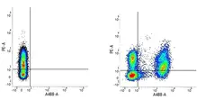 Mouse IgG1 Negative Control Antibody (Human) gallery image 9
