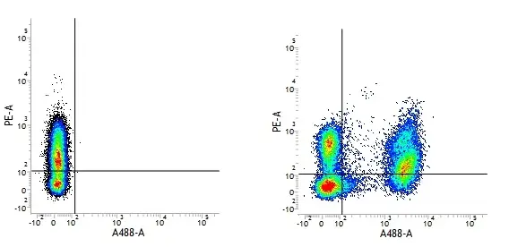 Mouse IgG1 Negative Control Antibody (Human) gallery image 9