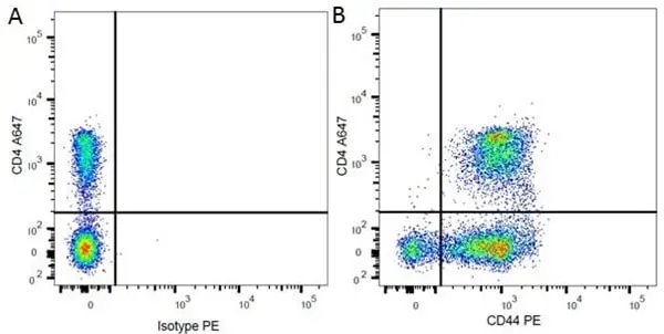 Mouse IgG2a Negative Control Antibody - Human gallery image 4
