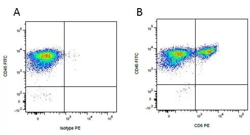 Mouse IgG2a Negative Control Antibody - Rat gallery image 10