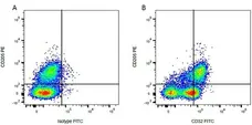 Mouse IgG2a Negative Control Antibody - Rat gallery image 13