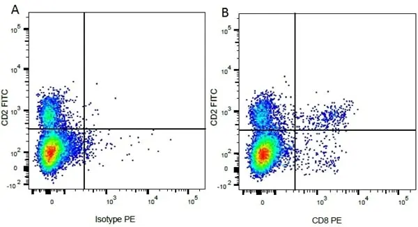 Mouse IgG2a Negative Control Antibody - Rat gallery image 16
