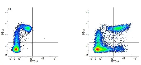 Mouse IgG2a Negative Control Antibody - Rat gallery image 3