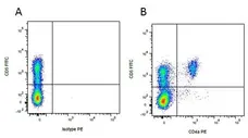 Mouse IgG2a Negative Control Antibody - Rat gallery image 7