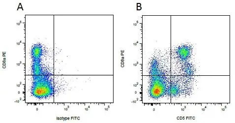 Mouse IgG2a Negative Control Antibody - Rat gallery image 8