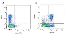 Mouse IgG2a Negative Control Antibody - Rat gallery image 9