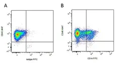 Mouse IgG2b Negative Control Antibody gallery image 11
