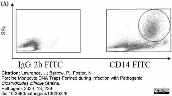 Mouse IgG2b Negative Control Antibody gallery image 12