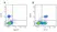 Mouse IgG2b Negative Control Antibody thumbnail image 3