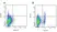 Mouse IgG2b Negative Control Antibody thumbnail image 4