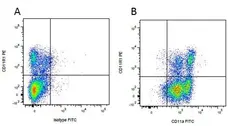 Mouse IgG2b Negative Control Antibody gallery image 5