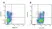 Mouse IgG2b Negative Control Antibody thumbnail image 5