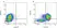 Mouse IgG2b Negative Control Antibody thumbnail image 8