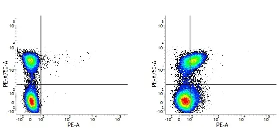 Rat IgG1 Negative Control Antibody - HRP gallery image 2
