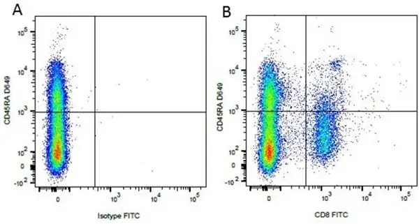 Rat IgG1 Negative Control Antibody - HRP gallery image 4