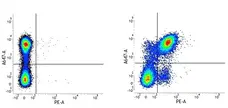 Rat IgG2a Neg Cont Antibody :Alexa Fluor 405 gallery image 1