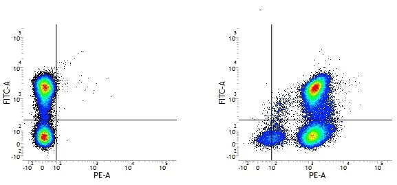 Rat IgG2a Neg Cont Antibody :Alexa Fluor 405 gallery image 3