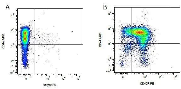 Rat IgG2a Negative Control Antibody (TNP) gallery image 3