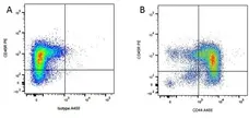 Rat IgG2a Negative Control Antibody (TNP) gallery image 4