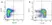 Rat IgG2a Negative Control Antibody (TNP) thumbnail image 4