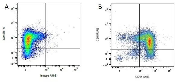 Rat IgG2a Negative Control Antibody (TNP) gallery image 4